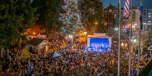 Rotary Community Tree Lighting