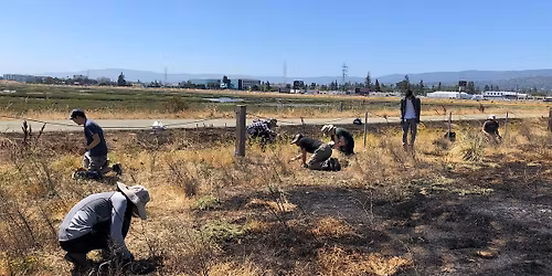 Bair Island Volunteer Workday