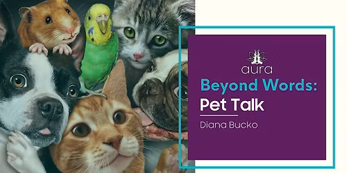 Beyond Words: Pet Talk