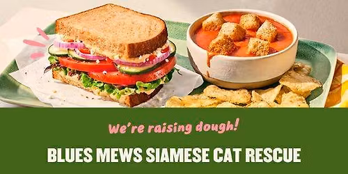 Panera Night for Blue's Mews