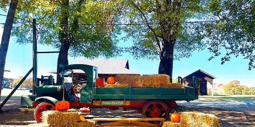 Fun on the Farm