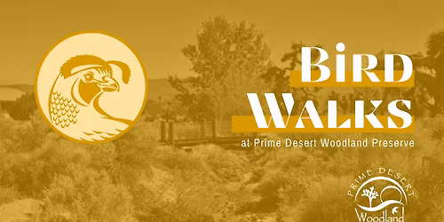 Bird Walks at Prime Desert Woodland Preserve