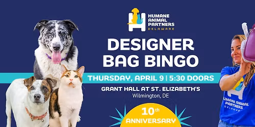 Designer Bag Bingo | 10th Anniversary