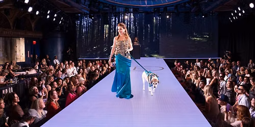 CatWalk FurBaby