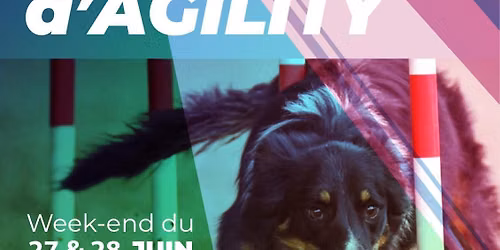 Concours Agility CCHG 27 et 28 Juin 2026