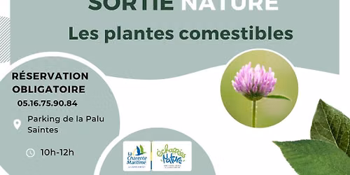 Les plantes comestibles