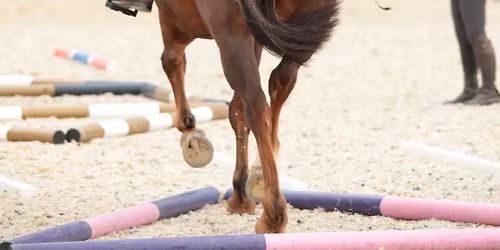 Pole Clinic with Cheryl Bezants