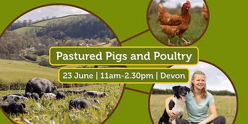 Pastured Pigs and Poultry