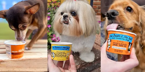 Doggie Ice Cream Social Weekend\u2014 FREE Frozen Treat Pawty! \ud83d\udc3e\ud83c\udf66