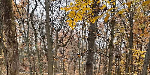 LGBTQ Group Going on a Fall Hike 