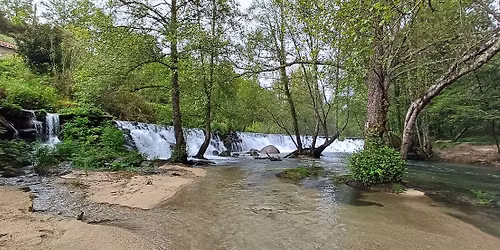 Dia Mundial da Árvore e da Água 