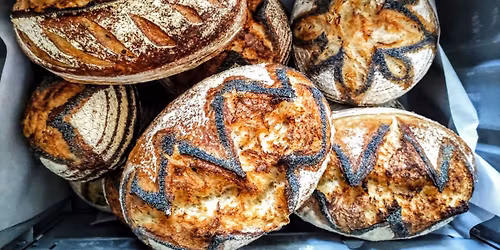 Introduction to Sourdough Bread Baking