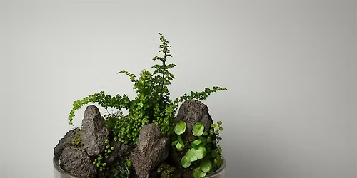 Aquatic Terrarium Workshop at Allan Gardens