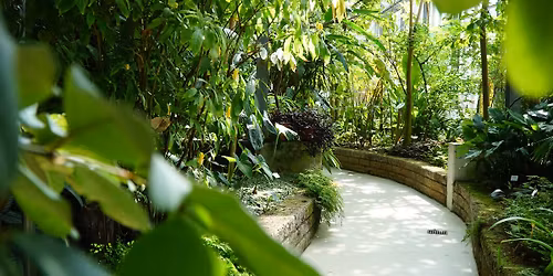 SONNTAGSF\u00dcHRUNG - Tropentr\u00e4ume unter Glas