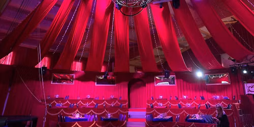 Merci Johnny - Circus Show 