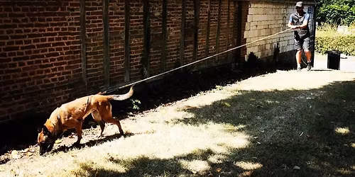 Stage Mantrailing - RESTE 3 PLACES