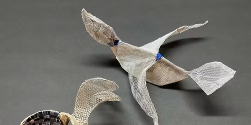 Cement  Sculpture with Laura Lyn Stern