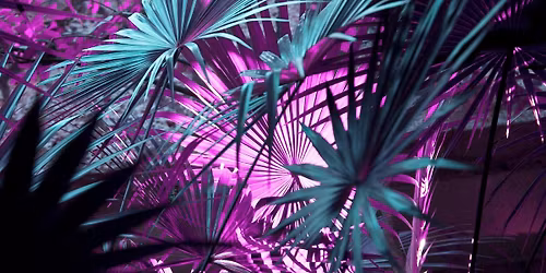 Hot Tropic: A Flower Lantern Workshop by Primary Child