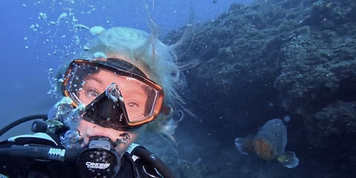 Farnes Islands Dive Trip