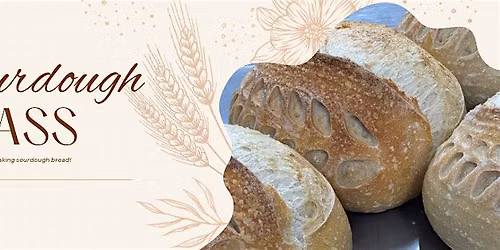 Sourdough Basics