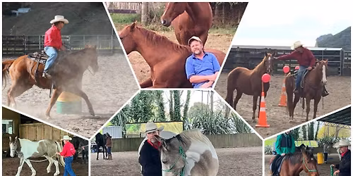 'Pathway to Partnership' Haruru, Bay of Islands