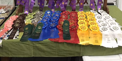 AKC November Obedience Trial