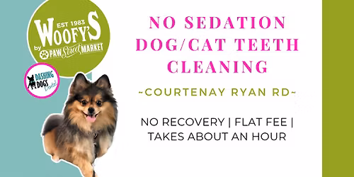 Dog\/Cat Teeth Cleaning - Courtenay Ryan Rd