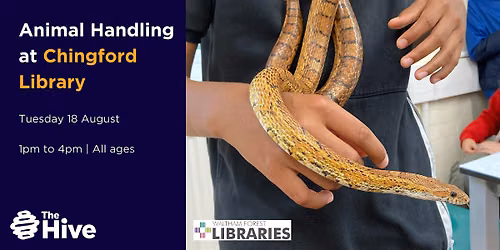 Animal Handling at Chingford Library
