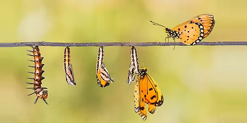 Rozv\u00edjen\u00ed vnit\u0159n\u00edch zdroj\u016f (d\u011btstv\u00ed a rodi\u010de) v Brn\u011b