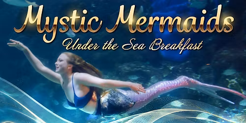 Downtown Aquarium - Mystic Mermaids Under the Sea Breakfast