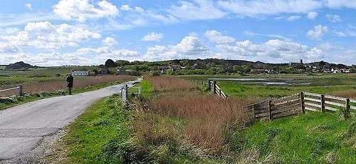 Life Changing: Wildlife arrivals and departures waymarking spring