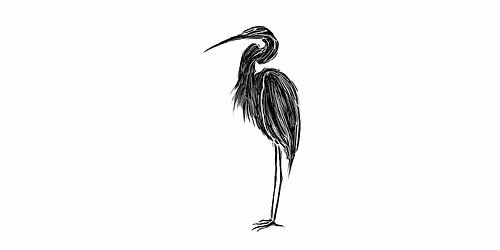 Weekly Ecstatic Dance