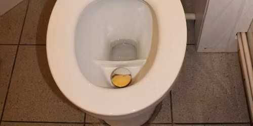 VISITE DE SITE \/\/ Comment arr\u00eater de faire pipi dans l'eau !?