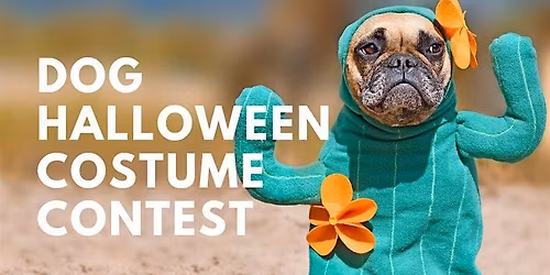 Dog Halloween Costume Contest