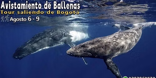 Tour Ballenas Agosto, Salida desde Bogot\u00e1