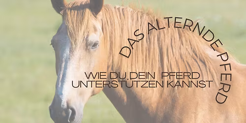 \ud83d\udc34 Das alternde Pferd! Lerne, wie du wirksam unterst\u00fctzen kannst! \ud83d\udc99