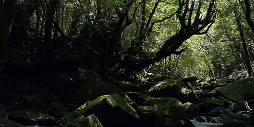 May Day - the new film by Mai Hua & Jerry Hyde