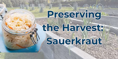Sauerkraut Making: Preserving the Harvest Workshop at Redhill Park