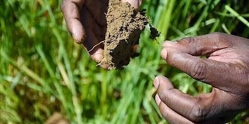 Soil Health Training at Bartonsham Meadows
