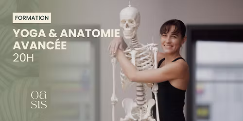 Formation 20h - Anatomie avanc\u00e9e