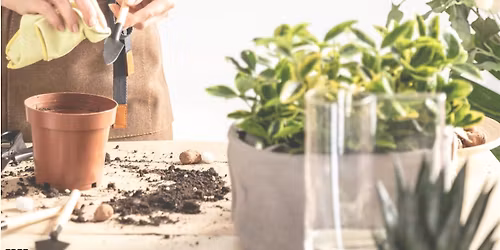 Basic of Repotting Workshop