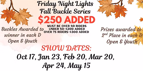 FRIDAY NIGHT LIGHTS BUCKLE SERIES- SHOW 4 OF 6