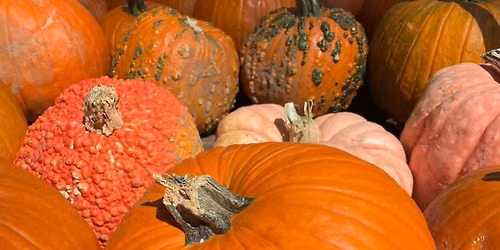 Olde Towne Pumpkin Festival
