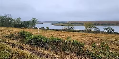 Greenbelt Adult Hike - Fresh Kills Park