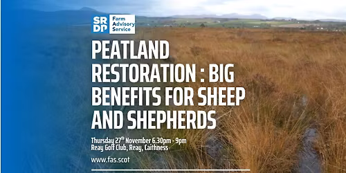 Peatland Restoration: Big Benefits For Sheep And Shepherds