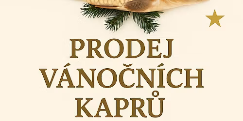 prodej v\u00e1no\u010dn\u00edch kapr\u016f
