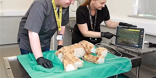 Reaseheath Veterinary Nursing Communication Event