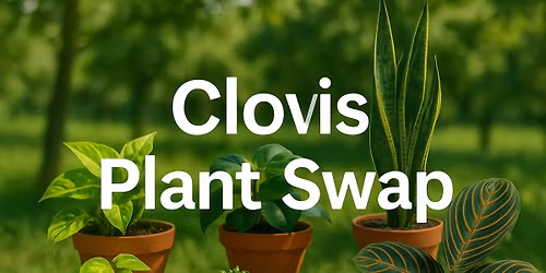 Clovis Plant Swap