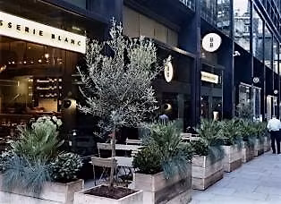 Collaborate MK - Gold Membership Workshop - Brasserie Blanc