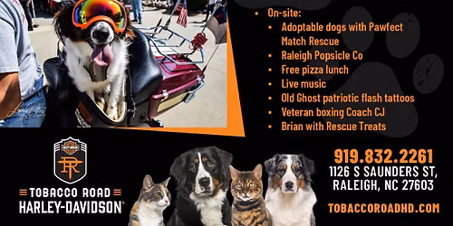 Vets and Pets